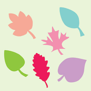 leaf shapes