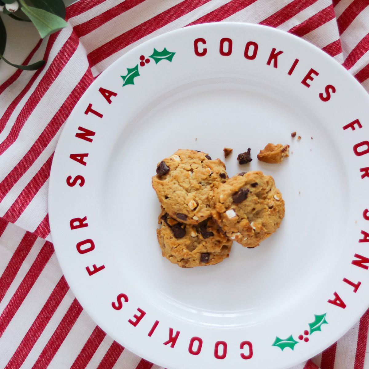 How to Make a Cookies for Santa Plate with Cricut
