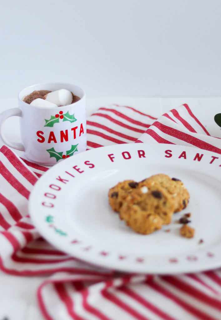 plate of cookies and mug for Santa